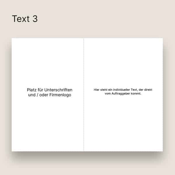 text 3